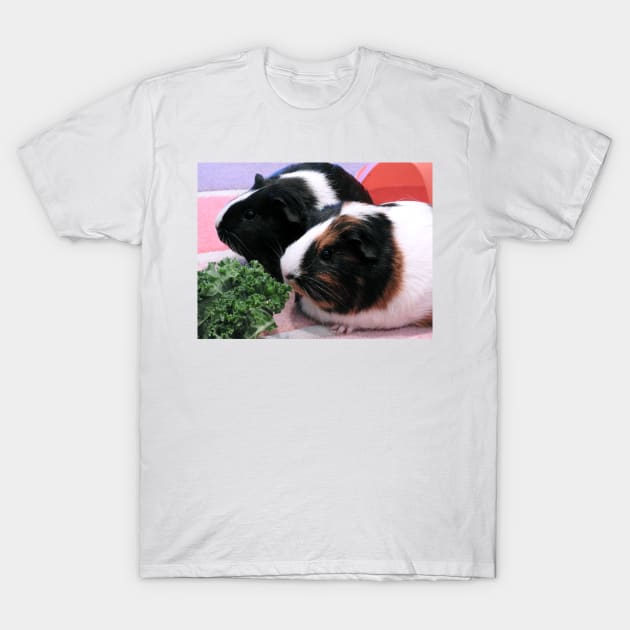 Guinea Pigs - Georgia & Twinkle T-Shirt by kirstybush